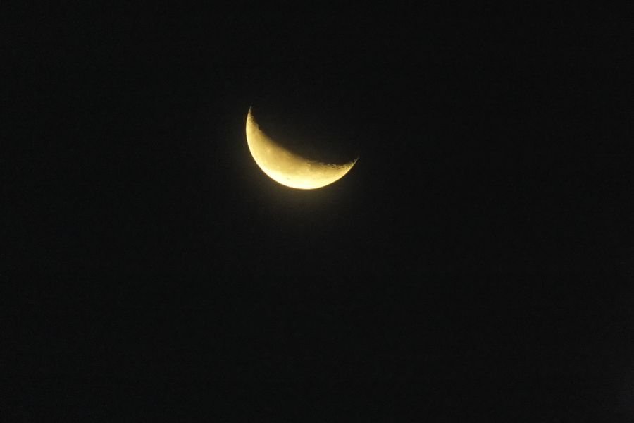 LUNE005