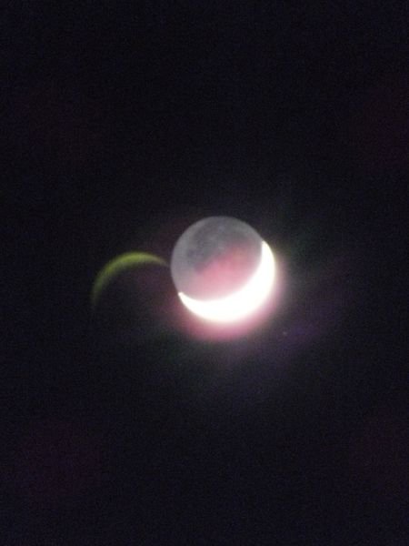 LUNE008