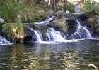 FLV003.JPG