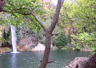 FLV013.JPG