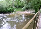 FLV015.JPG