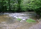 FLV019.JPG