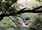 FLV020.jpg