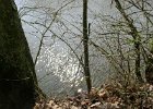 FLV021.JPG