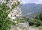 FLV024.JPG