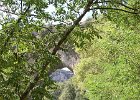 FLV025.JPG
