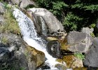 FLV027.JPG