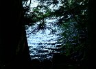 FLV030.JPG