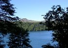 FLV033.JPG