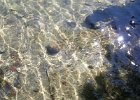 FLV034.JPG