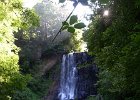 FLV037.JPG