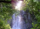 FLV038.JPG
