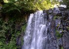 FLV039.JPG