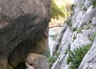 FLV042.JPG
