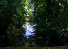 FLV053.jpg